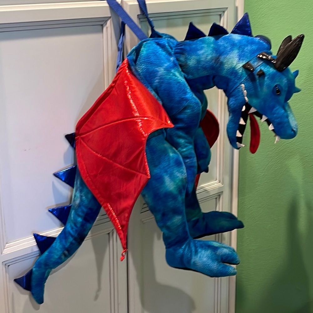 Dragon costume